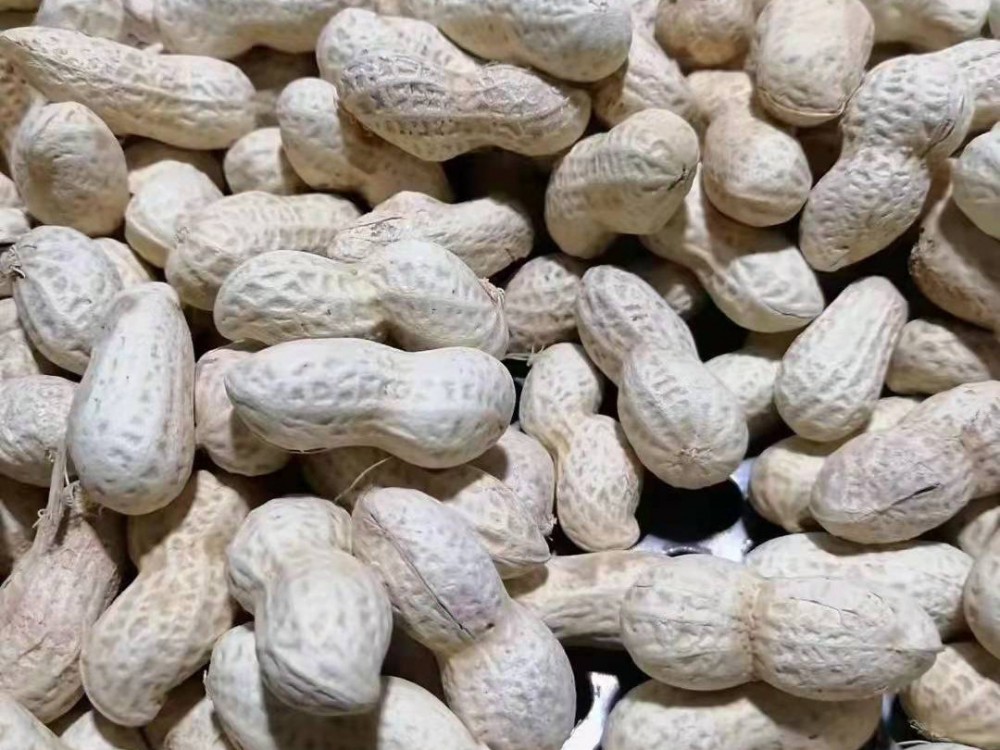 Peanuts