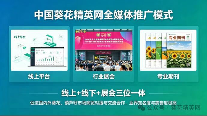China Sunflower Elite Network all-media promotion model